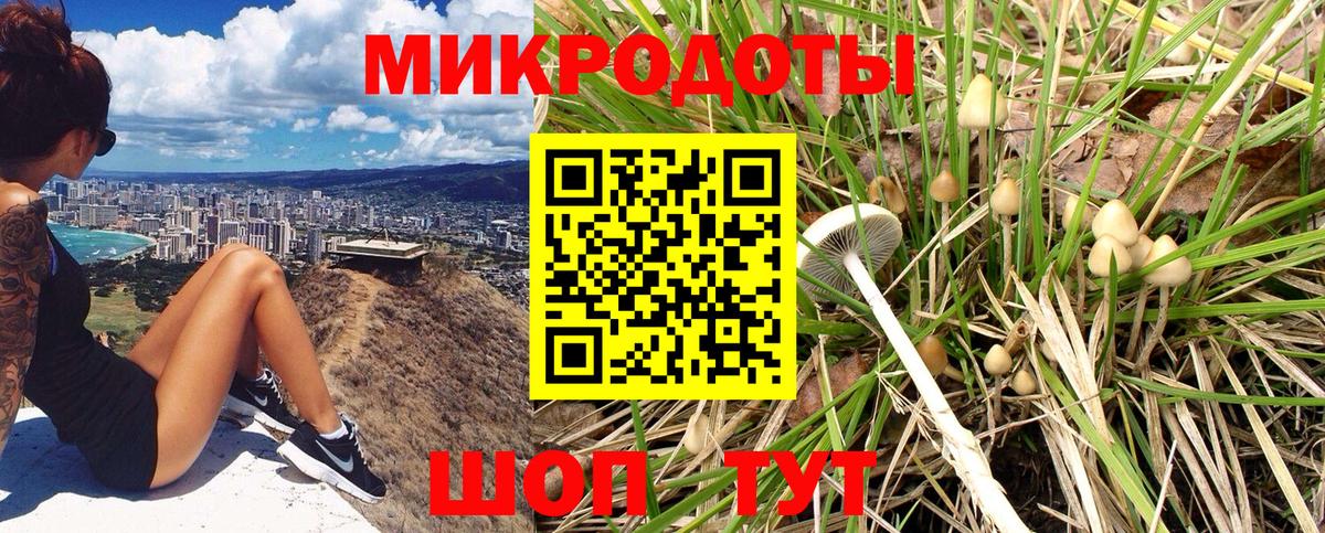 Продажа наркотиков  Лсд 25  Партизанск  Альфа ПВП СОЛЬ   Кокаин  Гашиш  Меф МЯУ МЯУ кристаллы  Канабис  Вход с VPN 
