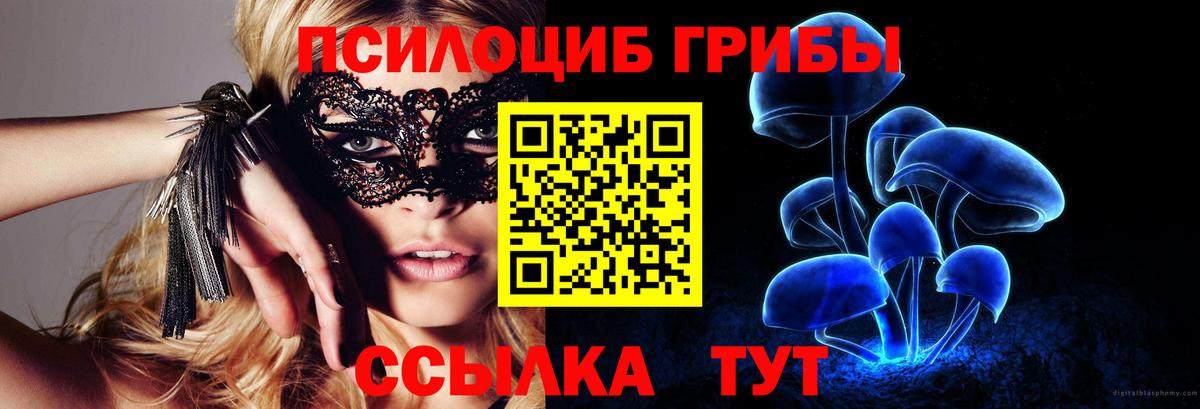 Галлюциногенные грибы мухоморы Партизанск