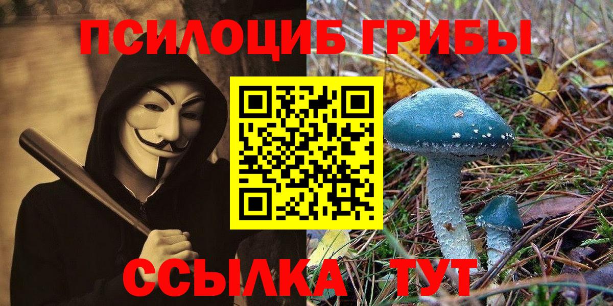 Псилоцибиновые грибы Psilocybine cubensis  Вход с VPN  Партизанск 